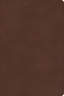 Picture of CSB Rainbow Study Bible, Brown Leathertouch, Indexed