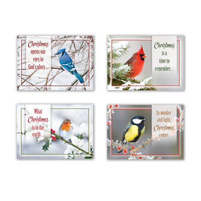 Christmas Birds Assorted Christmas Boxed Cards