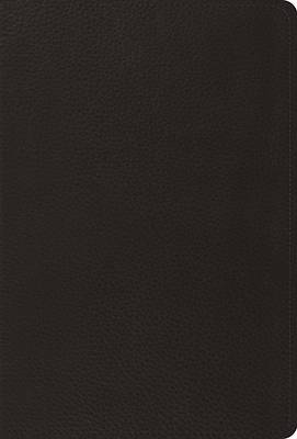 Picture of The Psalms, ESV (Black)