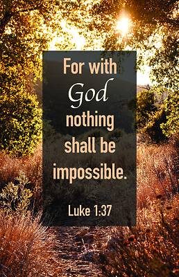 Picture of With God Worship Bulletin PKG 100