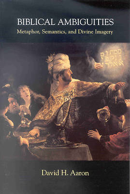 Picture of Biblical Ambiguities