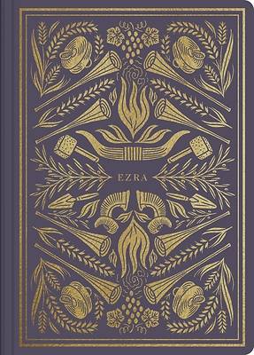 Picture of ESV Illuminated Scripture Journal