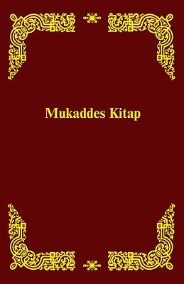 Spanish Braille Bible