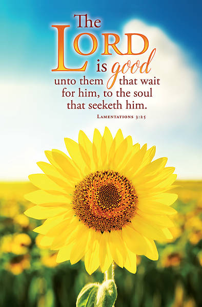 Picture of Lord is Good General Regular Size Bulletin