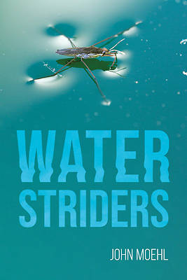 Picture of Water Striders