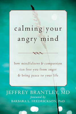 Picture of Calming Your Angry Mind