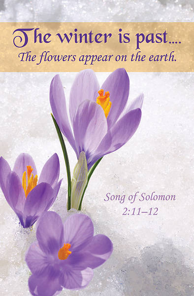 Picture of The Winter is Past General Regular Size Bulletin