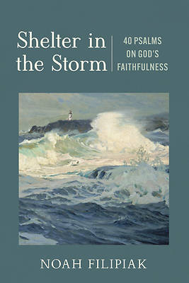 Picture of Shelter in the Storm