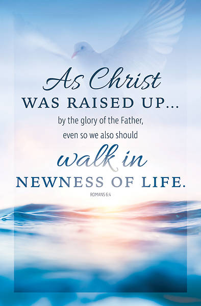 Picture of As Christ Raised Baptism Regular Size Bulletin