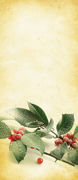 Picture of Christmas Parchment Parament Pulpit Scarf