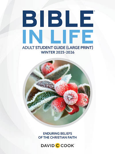 Picture of Bible in Life Adult Student Book Large Print Winter