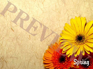 Picture of Download Still Spring Daisies