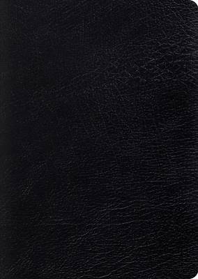 Picture of ESV Study Bible, Large Print (Black)