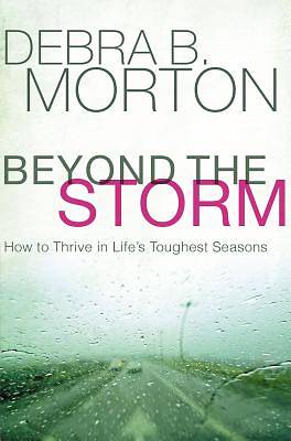 Picture of Beyond the Storm