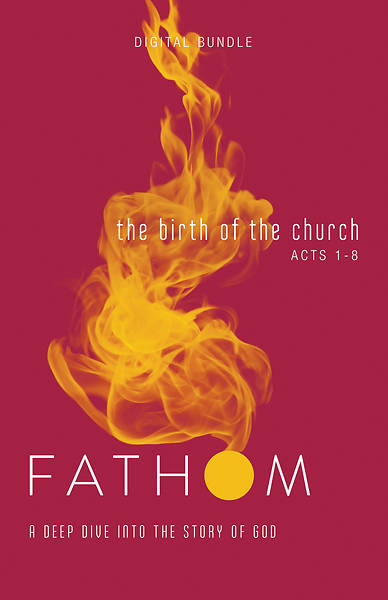 Fathom Bible Studies: The Birth of the Church Digital Bundle (Luke 24-Acts 8)