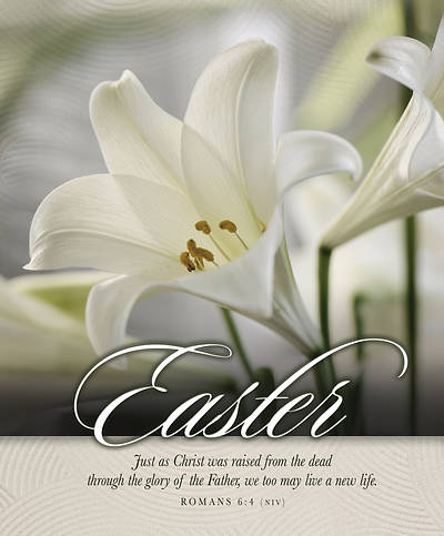 Picture of We May Live a New Life Legal Size Bulletin