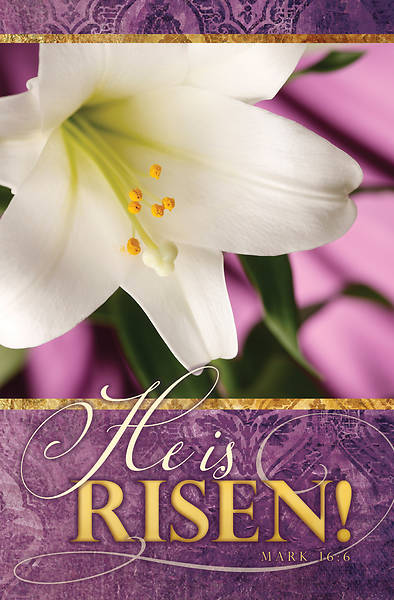 Picture of He is Risen! Easter Lily Regular Size Bulletin