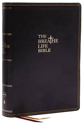 Picture of The Breathe Life Holy Bible