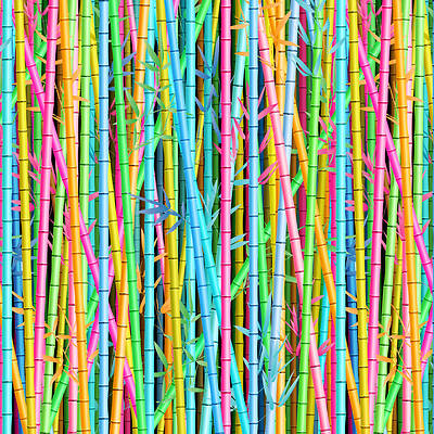 Picture of Vacation Bible School (VBS) 2021  Discovery on Adventure Bamboo Wall Background