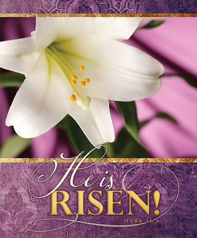 Picture of He is Risen! Easter Lily Legal Size Bulletin
