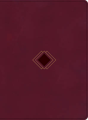 CSB Day-By-Day Chronological Bible, Burgundy Leathertouch