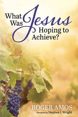 Picture of What Was Jesus Hoping to Achieve?