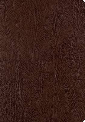Picture of ESV Single Column Journaling Bible, Large Print (Mocha)