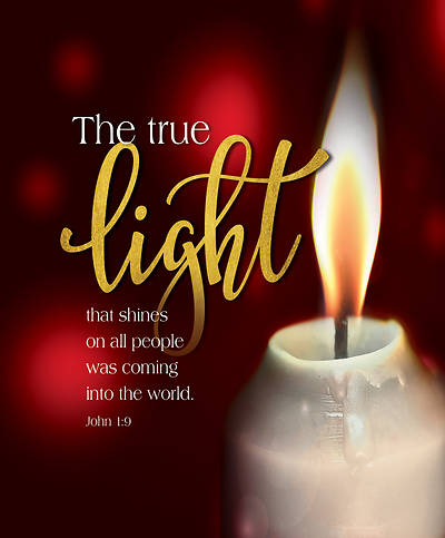 Picture of The True Light Candlelighting Christmas Bulletin, Large (Pkg of 50)