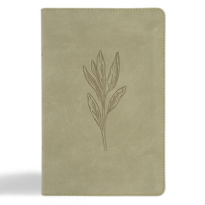 Picture of CSB Large Print Personal Size Reference Bible, Digital Study Edition, Sage Suedesoft Leathertouch