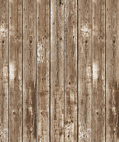Picture of Vacation Bible School Weathered Wood Plastic Backdrop