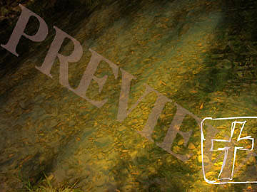 Picture of Download Still Cross On Path