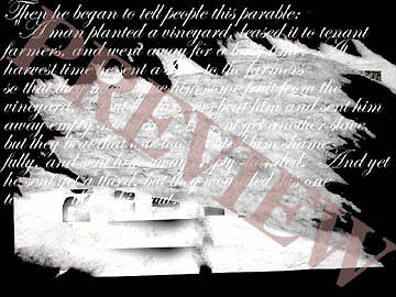 Picture of Download Still Vineyard