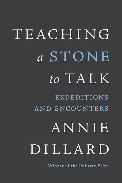 Teaching a Stone to Talk - eBook [ePub]