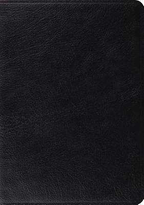 Picture of ESV Archaeology Study Bible (Black)