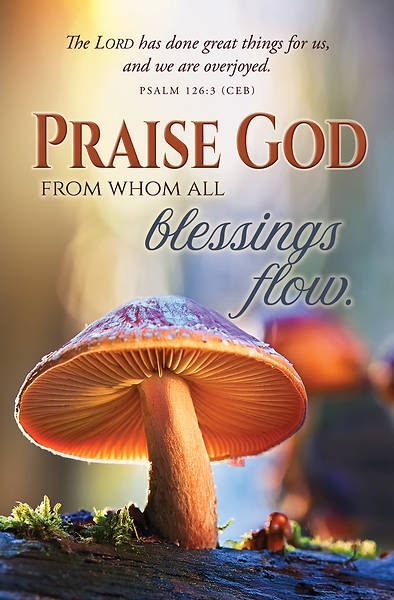 Praise God From Whom Fall Bulletin