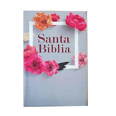 Santa Biblia