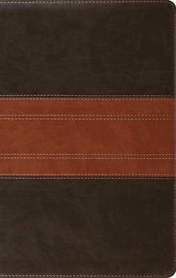 ESV Large Print Personal Size Bible, Red Letter (Trutone, Forest/Tan, Trail Design)
