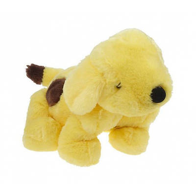 Picture of Spot Plush [With Book]