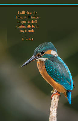 At All Times Bulletin PKG 100