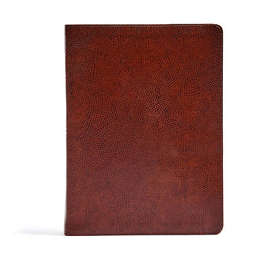 Picture of CSB Verse-By-Verse Reference Bible, Brown Bonded Leather