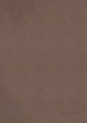 The Barbour Simplified KJV Bible--Deluxe Edition [Brown & Rose Floral Inset]