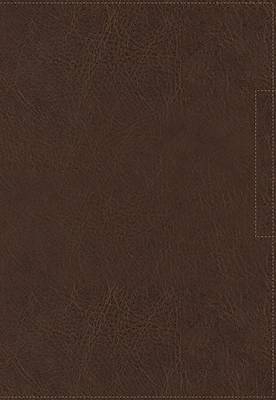 Picture of NVI Santa Biblia, Lucado, Palabra de Aliento, Leathersoft, Café, Interior a DOS Colores