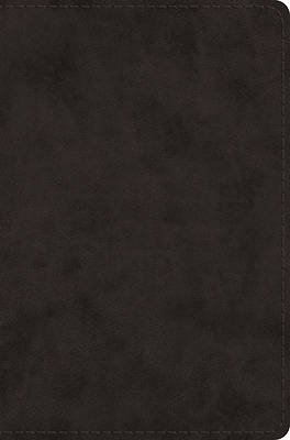 Picture of ESV Single Column Legacy Bible (Trutone, Black)