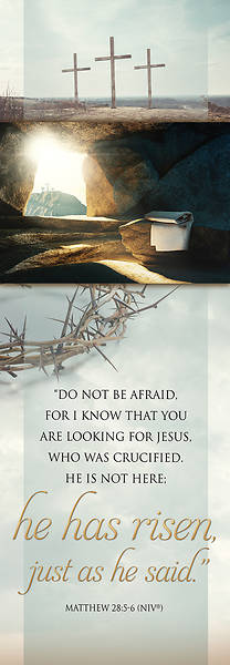 Picture of He Has Risen Easter 2' x 6' Banner