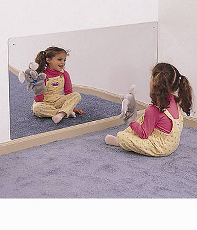 Picture of Rectangular Mirror 48 x 24
