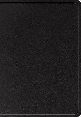 Picture of ESV Super Giant Print Bible (Black)