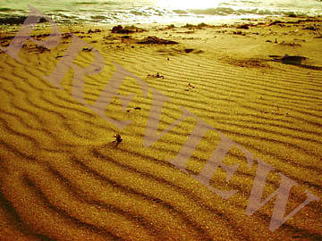 Picture of Download Still Shifting Sands