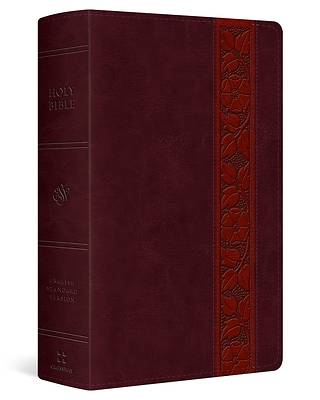 Picture of ESV Large Print Personal Size Bible (Trutone, Mahogany, Trellis Design)