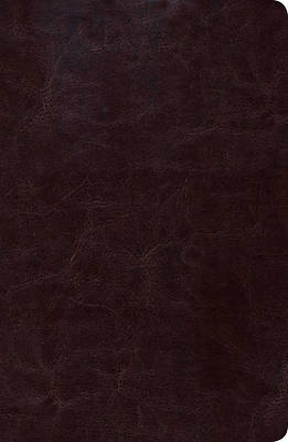 Picture of Biblia de Estudio Scofield Tomano Personal-Rvr 1960