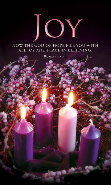 Banner Joy Advent 3 x 5 Fabric